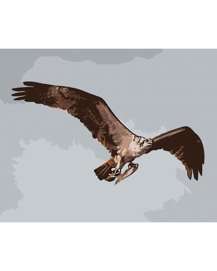Malowanie po numerach - ORZEŁ W LOCIE ZE ZDOBYCZĄ (D. RUSTY RUST)