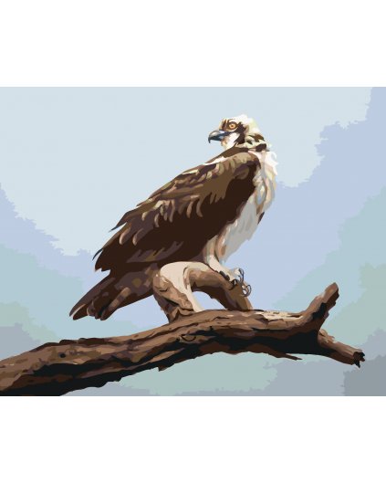 Malowanie po numerach - ORZEŁ NA GAŁĘZI 2 (D. RUSTY RUST)