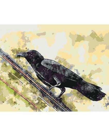 Malowanie po numerach - WRONA NA DRUCIE