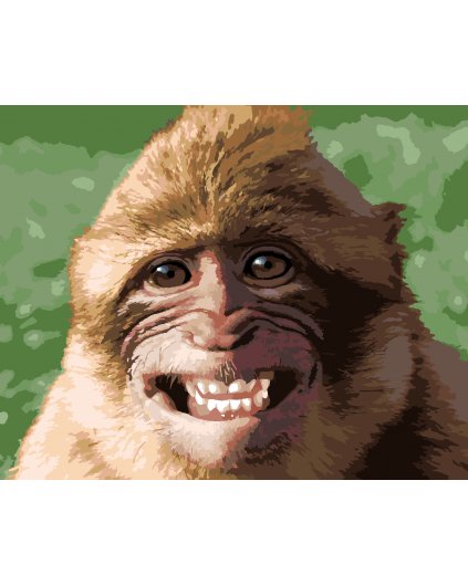 Malowanie po numerach - ŚMIEJĄCA SIĘ MAŁPKA