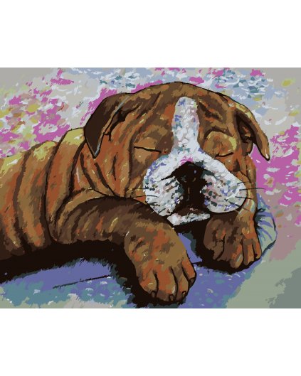 Malowanie po numerach - BULDOG W PRZEBRANIU KROWY