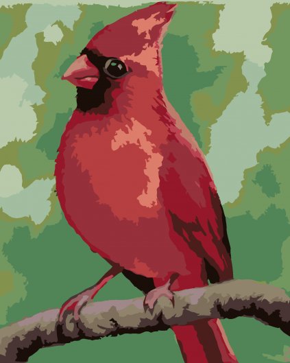 Malowanie po numerach - CZERWONY PTAK (MYROSLAVA VOLOSCHUK)