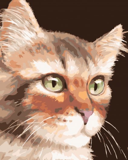 Malowanie po numerach - KOT PRĘGOWANY (MYROSLAVA VOLOSCHUK)