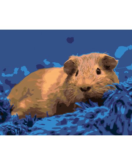 Malowanie po numerach - ŚWINKA MORSKA NA NIEBIESKIM DYWANIE