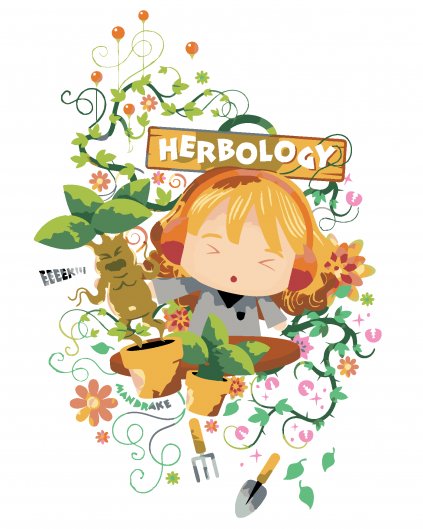 Malowanie po numerach - ZIELARSTWO (HARRY POTTER)