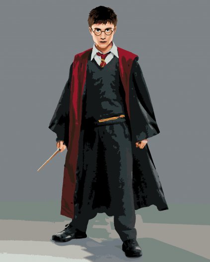 Malowanie po numerach - HARRY POTTER W TODZE Z RÓŻDŻKĄ