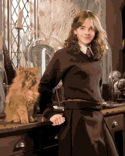 Malowanie po numerach - HERMIONA I KRZYWOŁAP W KLASIE (HARRY POTTER)