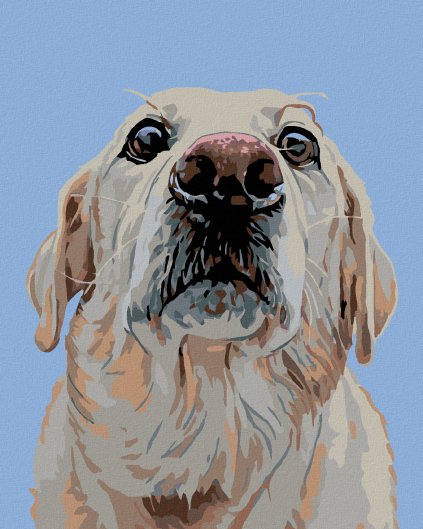 Haft diamentowy - Biały Labrador