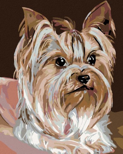 Haft diamentowy - Yorkshire terrier -  suczka