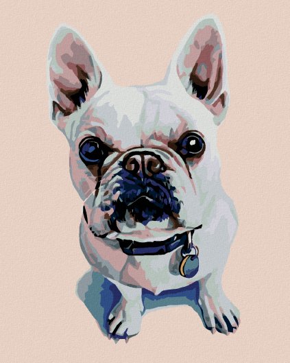 Haft diamentowy - Biały Bulldog