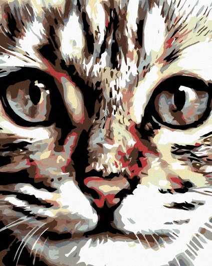Haft diamentowy - Pręgowany kotek