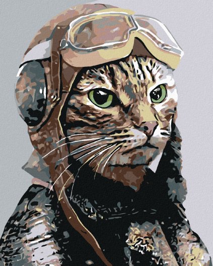 Haft diamentowy - Kot pilot