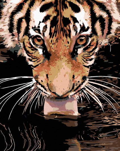 Haft diamentowy - Tygrys na wodzie