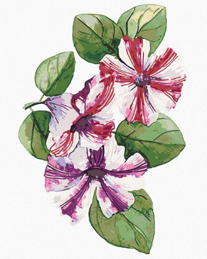 Haft diamentowy - WIOSNENNA PETUNIA (ALEXANDRIA GILBERT)