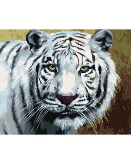Haft diamentowy - SPOJRZENIE BIAŁEGO TYGRYSA (D. RUSTY RUST)