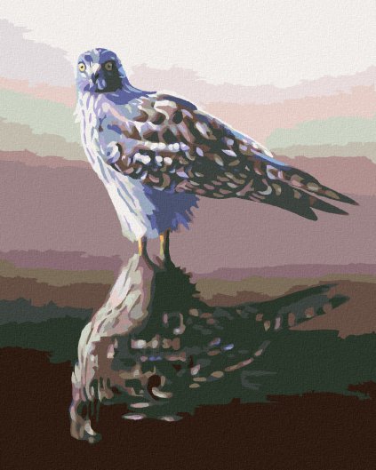 Haft diamentowy - JASTRZĄB W ODBICIU (D. RUSTY RUST)