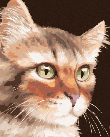 Haft diamentowy - KOT PRĘGOWANY (MYROSLAVA VOLOSCHUK)