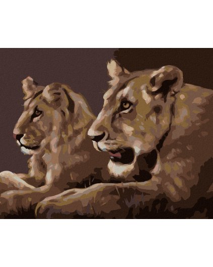 Haft diamentowy - MŁODE LWY (D. RUSTY RUST)