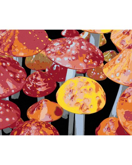 Haft diamentowy - MUCHOMORY (DENNIS FRATES)