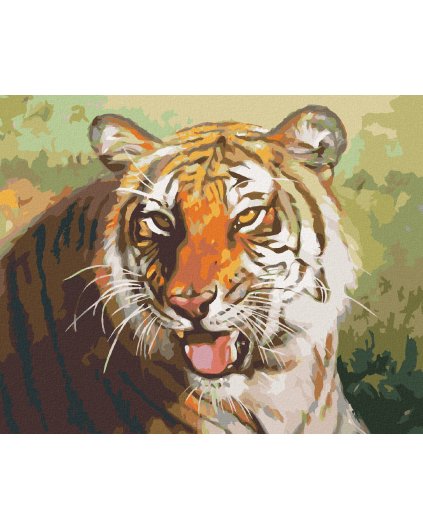 Haft diamentowy - PORTRET ODPOCZYWAJĄCEGO TYGRYSA (D. RUSTY RUST)