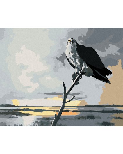 Haft diamentowy - ORZEŁ NA GAŁĘZI I CHMURY (D. RUSTY RUST)