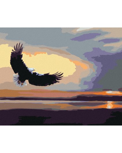 Haft diamentowy - ORZEŁ NAD WODĄ O ZMIERZCHU (D. RUSTY RUST)