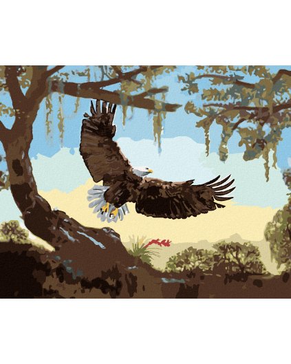 Haft diamentowy - STARTUJĄCY ORZEŁ (D. RUSTY RUST)