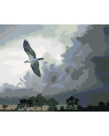 Haft diamentowy - ORZEŁ W LOCIE I CHMURY BURZOWE (D. RUSTY RUST)