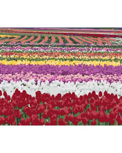 Haft diamentowy - POLA TULIPANÓW (DENNIS FRATES)