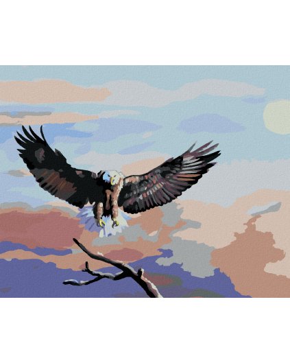 Haft diamentowy - LĄDOWANIE ORŁA (D. RUSTY RUST)