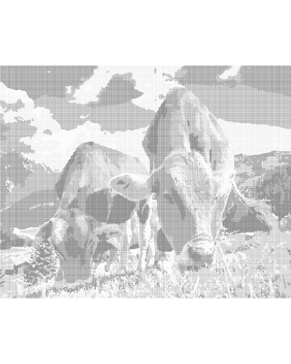 Kropkowanie - KROWY W GÓRACH