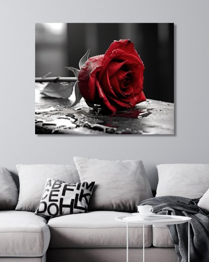 Obrazki na ścianę - Czerwona róża
