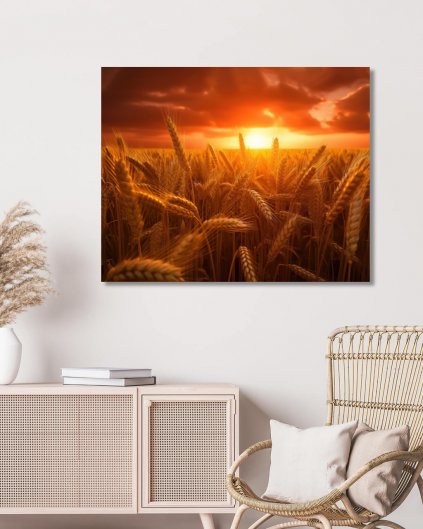 Obrazki na ścianę - Łąka o zachodzie słońca