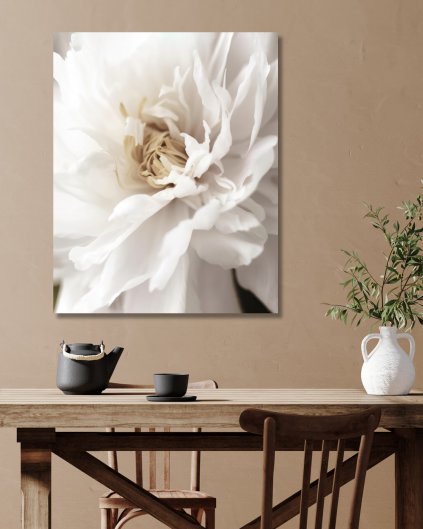 Obrazki na ścianę - Szczegół białego kwiatu
