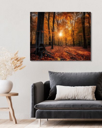 Obrazki na ścianę - Jesienny zachód słońca w lesie