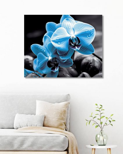 Obrazki na ścianę - Niebieska orchidea