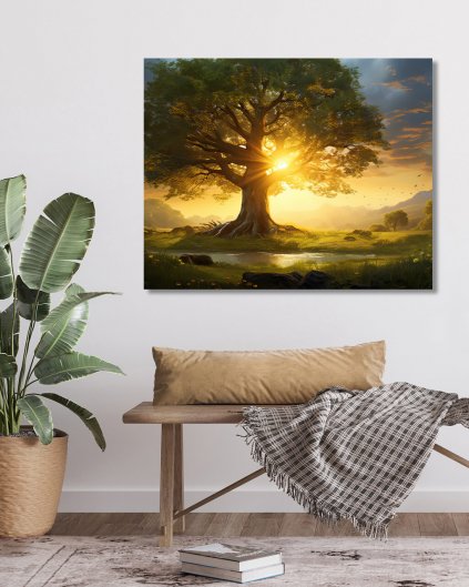 Obrazki na ścianę - Zachód słońca za masywnym drzewem