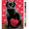 Malowanie po numerach - Czarny kot z czerwonym sercem