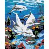 Malowanie po numerach - Delfiny w morzu