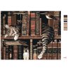 Malowanie po numerach - Kot w bibliotece