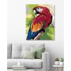Malowanie po numerach - Kolorowa papuga
