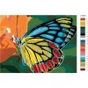 Malowanie po numerach – Barwny motyl