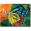 Malowanie po numerach – Barwny motyl