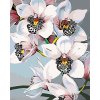 Malowanie po numerach - Świeże orchidee