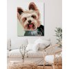 Malowanie po numerach - Yorkshire terrier