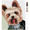 Malowanie po numerach - Yorkshire terrier