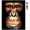 Malowanie po numerach - Szympans