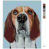 Malowanie po numerach - Pies Beagle