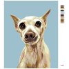 Malowanie po numerach - Wystraszony psiak