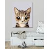 Malowanie po numerach - Słodki pręgowany kotek